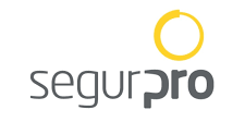 Segurpro